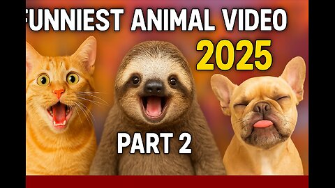 FUNNIEST ANIMAL VIDEO 2025 – PART 2 😂🐾 (Try Not to Laugh!)