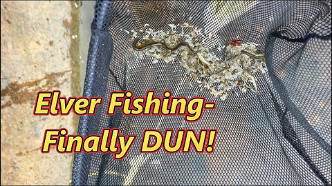 Elver Fishing 2025 Is History!