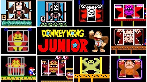 Donkey Kong Jr. (NES) Personal Best speedrun 1:50 (1 loop, 4 Stages)Verified 1:49