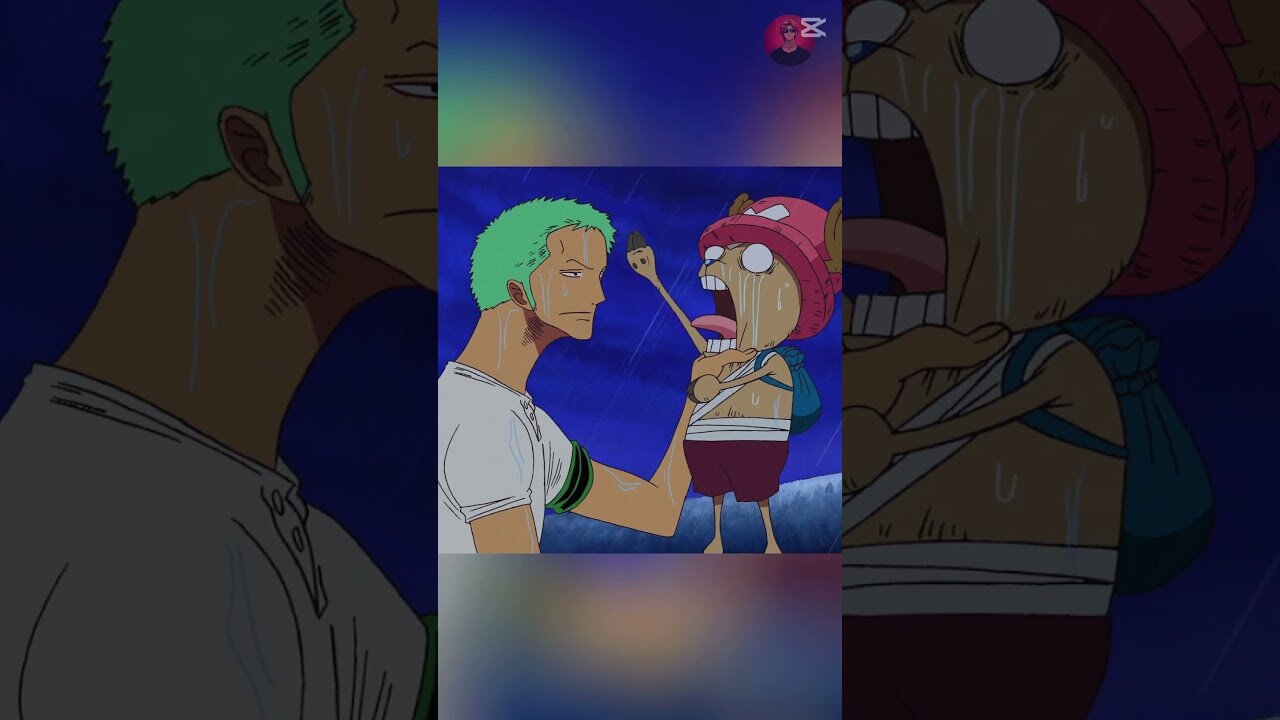 Zoro and Chopper Funniest Moments in One Piece (English Sub). #onepiece #zoro