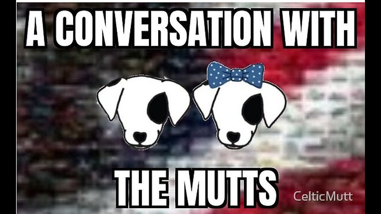 Conversation with the Mutts