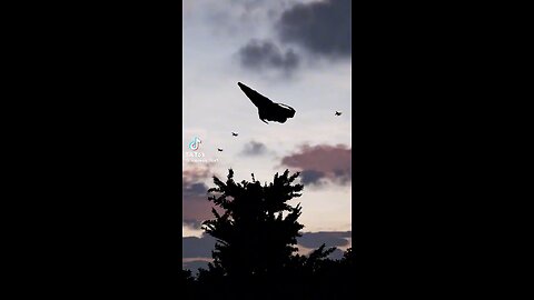 Are they showing us?