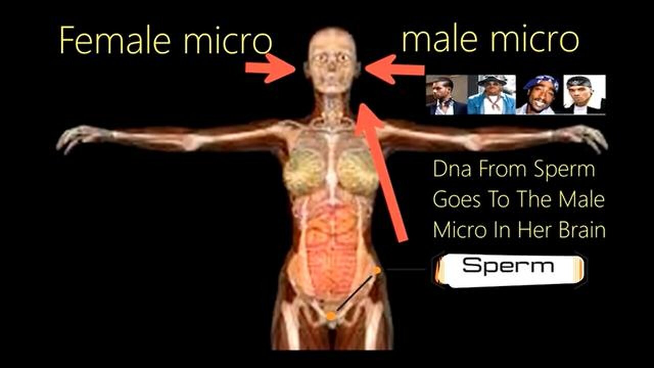 She Keeps The DNA of Every Man…