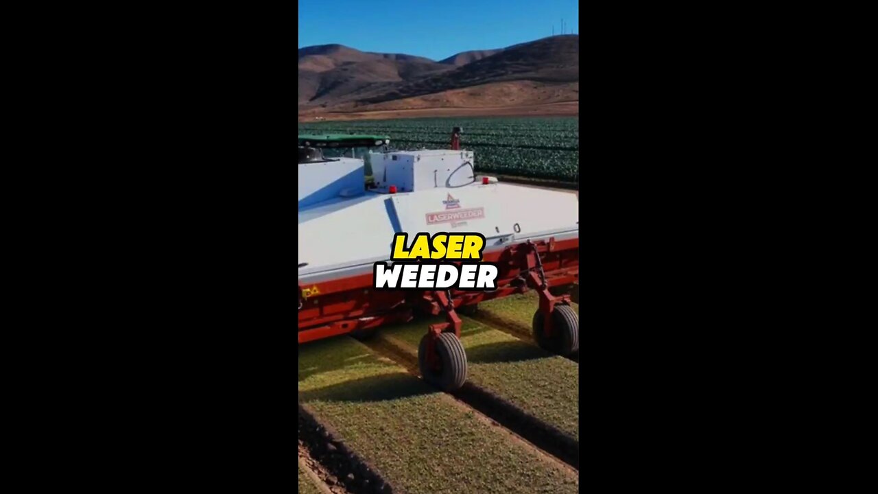 Laser Weeder