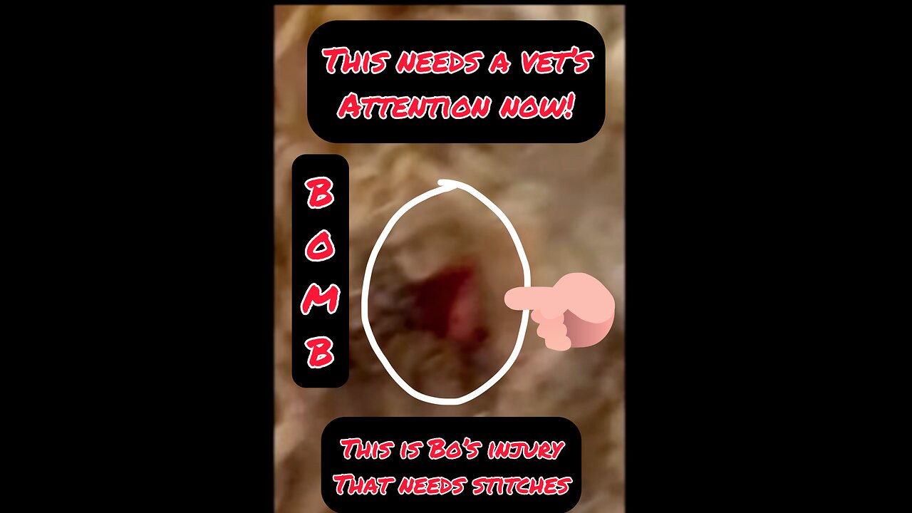 Bombshell let me make this very clear
