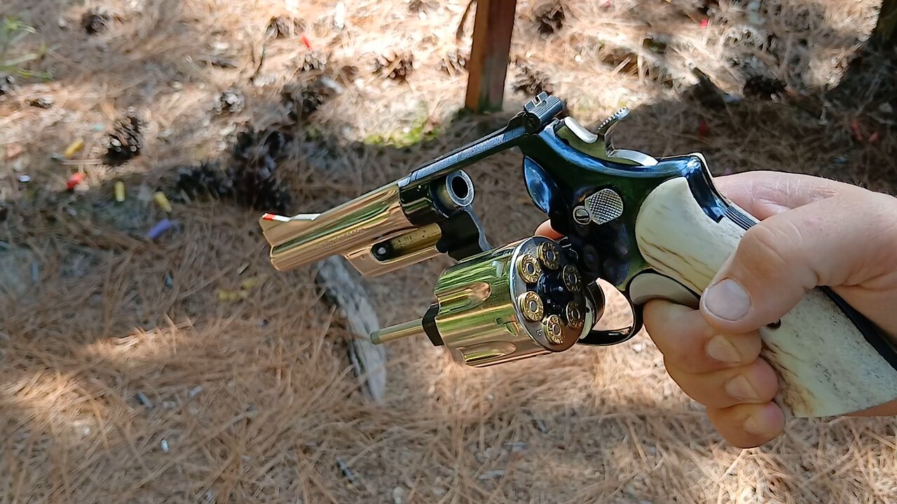 S&W PINTO 27