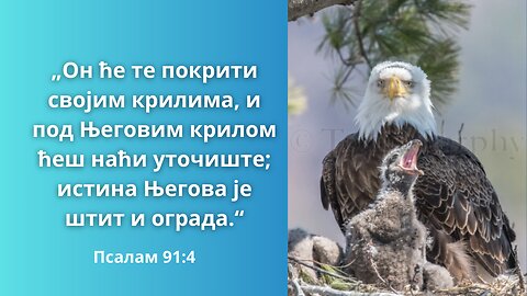 Под крилима Божијим