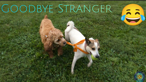 Goodbye Stranger