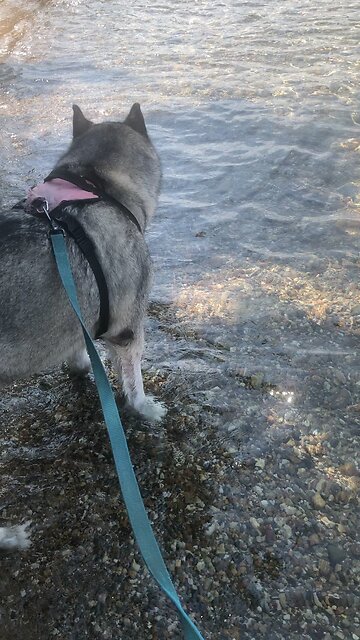 Monday July 14, The sovereign Lord will show justice to all the nations of the world.