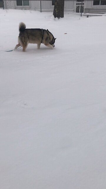 Sunday December 14, I will shake all the nations.