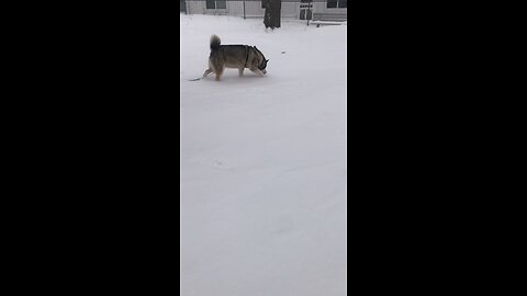 Sunday December 14, I will shake all the nations.