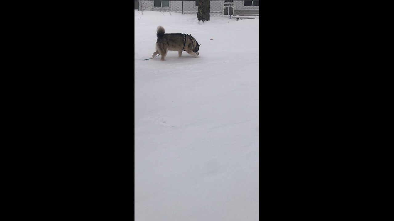 Sunday December 14, I will shake all the nations.