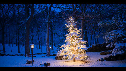 A CHRISTMAS SHAKING COMES