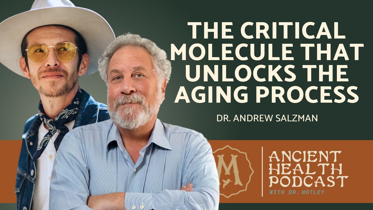 419: The Critical Molecule that Unlocks the Aging Process | Dr. Andrew Salzman