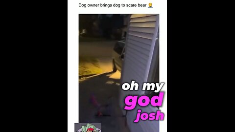 Dog owner brings dog to try and scare a bare😒😒😒