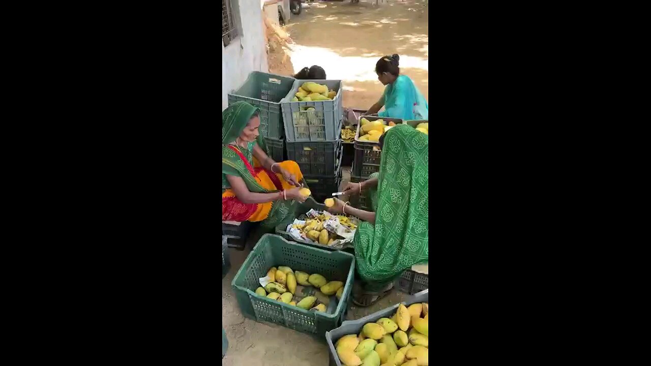 Desi mango 🥭 drink making