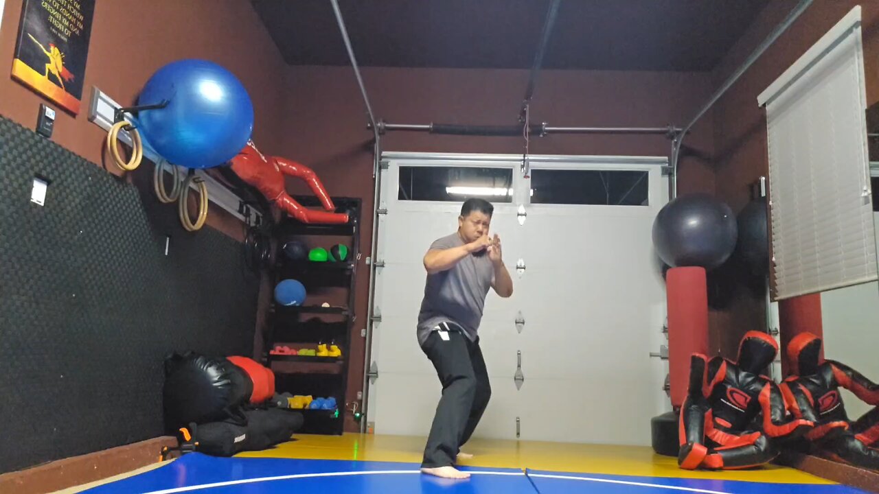 WTD Oblique Kick to Lotus Kick sequential