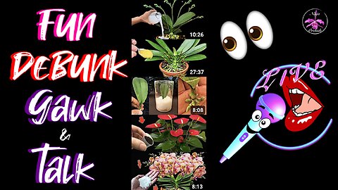 Monthly Q&A FAQ July 2025 Comments Review Orchid Related or Not Diverse Topics #ninjaorchids
