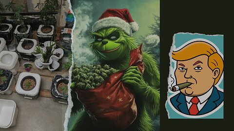 what Xmas party to go to