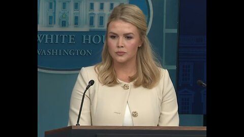 Press Secretary Karoline Leavitt On Website Doxxing Tesla Owners