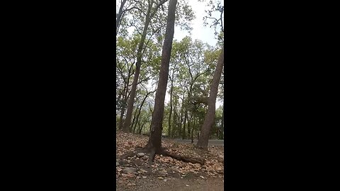 traveling vlog| India|nature
