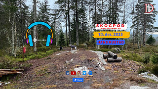 Skogpod 10. desember 2025