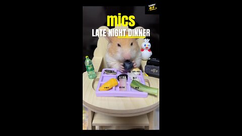 Mouse's Midnight Diner 🍽️ | Why a 'Useless' Pet Might Be the Most Healing One!