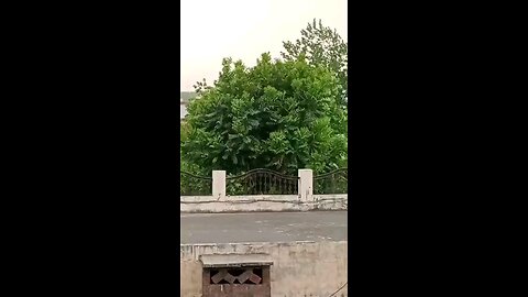 satisfying Video