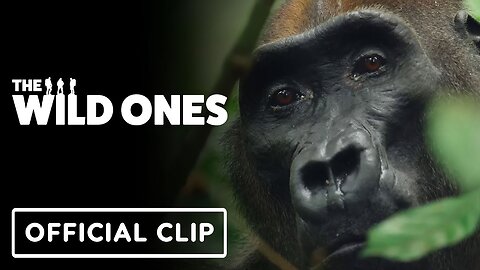 The Wild Ones - Official "First Gorilla" Clip (2025)
