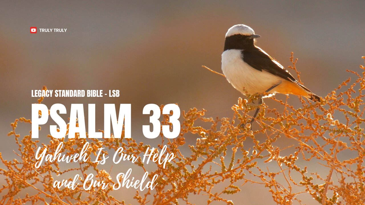 Psalms 33 - Yahweh Is Our Help and Our Shield (Legacy Standard Bible - LSB)