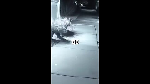 mimic plant