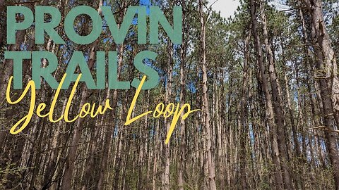 STUNNING Provin Trails, Yellow Loop | Full Hike POV | Hiking ASMR, Nature ASMR | Kent Co, MI