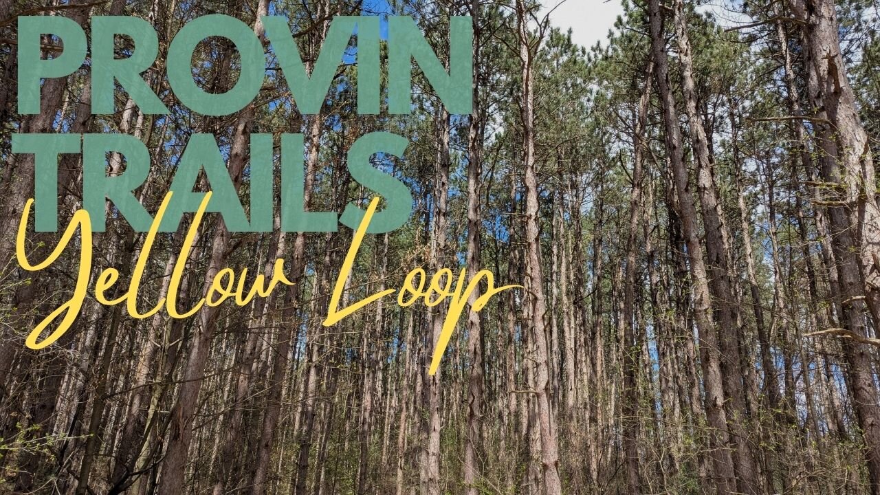 STUNNING Provin Trails, Yellow Loop | Full Hike POV | Hiking ASMR, Nature ASMR | Kent Co, MI