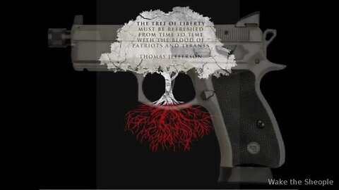 "2021 Update: Complete Disarmament Strategy - Unmasking the Truth Behind Laws"