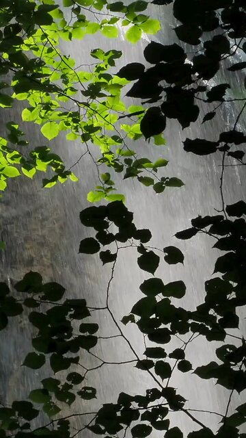 🌧️AS SOOTHING RAINDROPS GENTLY KISS THE EARTH 🌧️