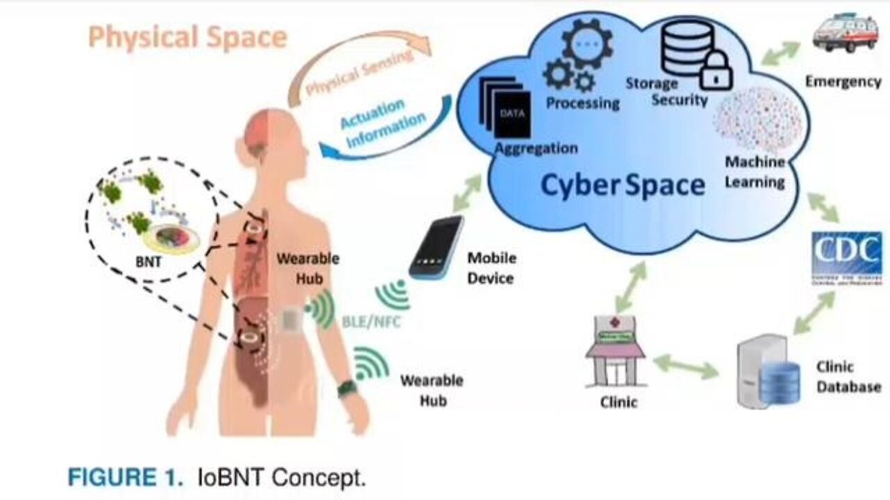How They Make You a Transhuman by Sabrina Wallace