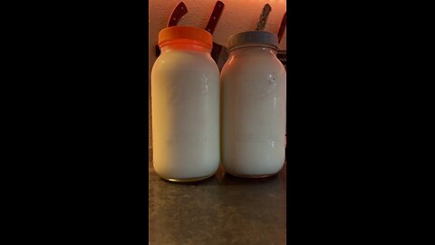 Let’s make ricotta cheese using farm fresh raw milk 🐄