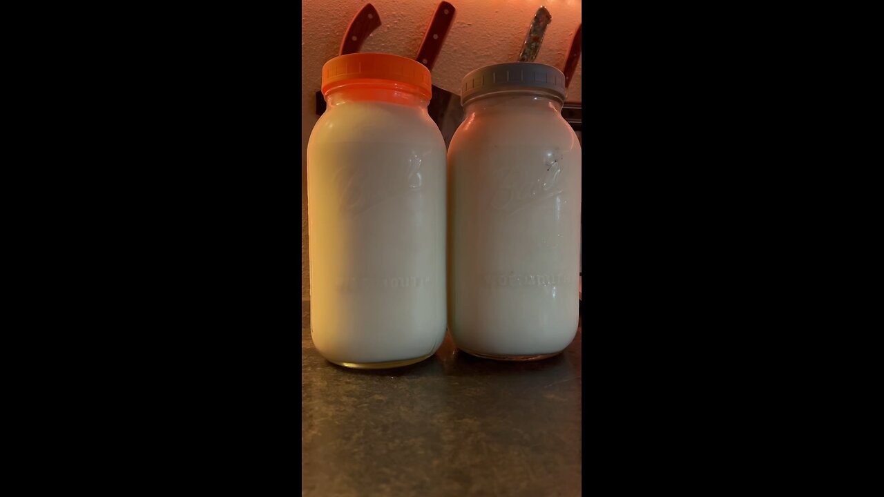 Let’s make ricotta cheese using farm fresh raw milk 🐄