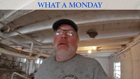 What a Monday