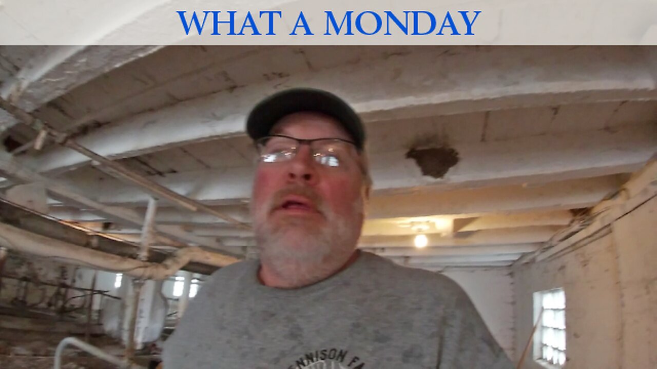 What a Monday