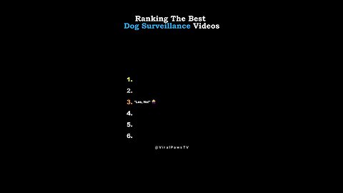 Ranking The Best Dog Surveillance Videos