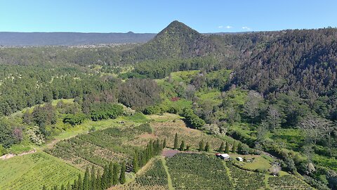 96-2140 KAUMAIKAOHU ROAD - AERIAL DRONE - FOOTHILLS OF THE PYRAMID