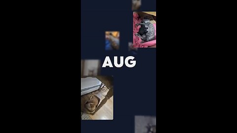 "Best of August" Made by Google Photos