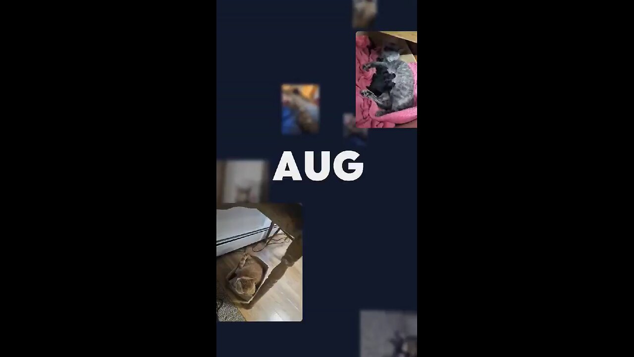 "Best of August" Made by Google Photos
