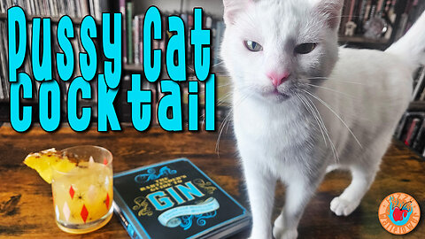 Can You Make a Pussy Cat Cocktail with a Distracting Cat Around?