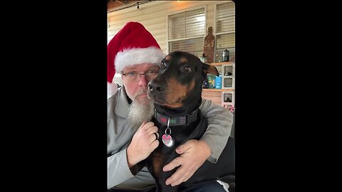 Doberman Burp Patrol: Caught Vibin’ on Dad’s Leg 🤣🐾 | December 6th Livestream Highlight