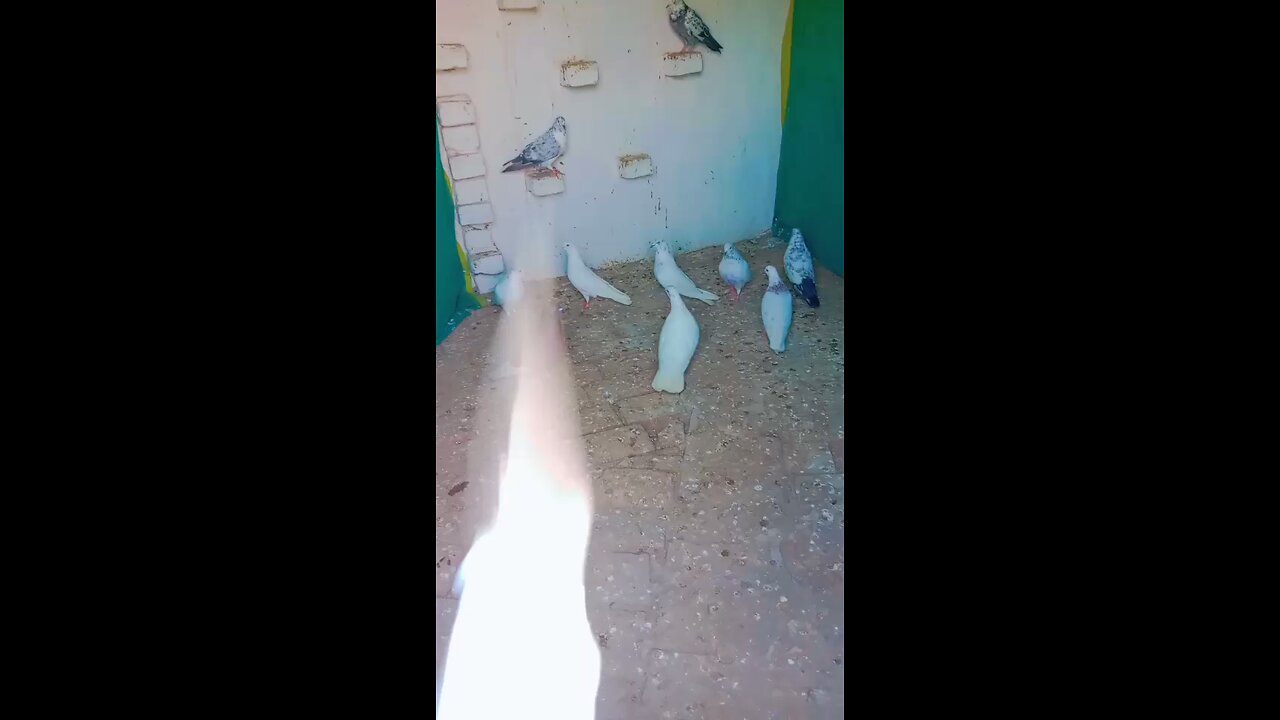 🌹🙏👌💪🏿🌹💪🏿💪🏿💪🏿