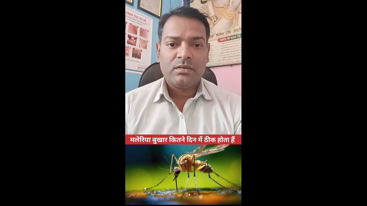 मलेरिया बुखार कितने दिन में ठीक होता है ।