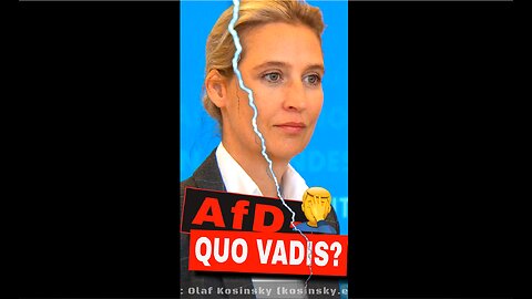 AfD-Verbot – durch die Hintertür? 🔥😳