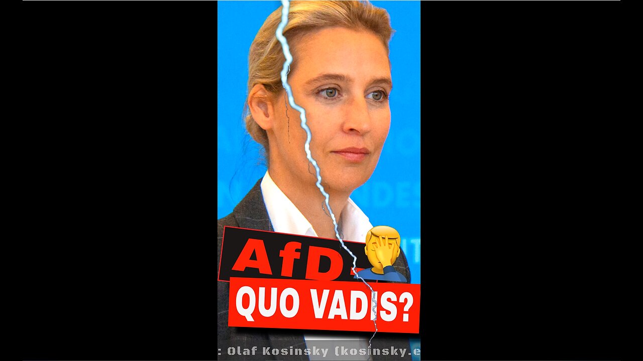 AfD-Verbot – durch die Hintertür? 🔥😳
